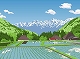 きれいな景色
