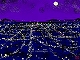 素晴らしい夜景